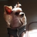 햇살한줌 이미지