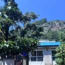 뉴-섬 게스트하우스 이미지