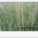 방성4리 이미지