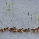 원앙공원 이미지