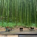 만향당 | 담양 1박2일 가족여행 / 죽녹원 한옥 숙박 후기 + 소쇄원 방문