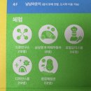 AR트릭아트전 이미지