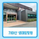 봉양로-1 이미지