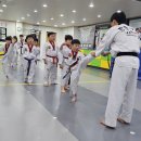 인성 태권 스쿨 이미지