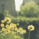 바다그린 이미지