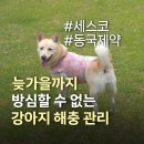 경화축산 | 11월까지 진드기·모기 방심 금지! 물리기 전에 막아야한다 강아지 진드기 모기 해충케어🐾🛡️