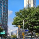 방배천로 92 (1) 이미지