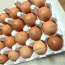 더큰농장 이미지