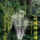 미그웨치 - 고양시 덕양구 화신로272번길 42 | 미그웨치