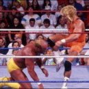 미스터컷트 이미지