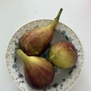 무화농장2 이미지