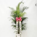 상남동279 이미지