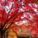 빛 96 - 11 이미지