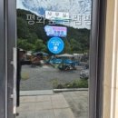 평화숲 글램핑 선택 전 볼 핵심 정보와 체크 포인트
