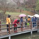 작은도서관 소풍 이미지