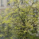 오라상점 이미지