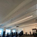 버서커 P.T 이미지