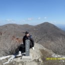 장안보리밥 이미지