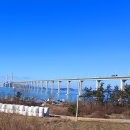 암태중학교 이미지