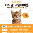 다드멍 이미지