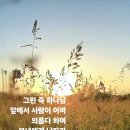 "벌레와 같은 인생" 이미지