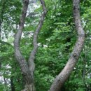 관촌약국 이미지