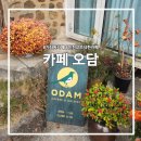 오담커피 | 가좌동 감성카페 오담｜대표메뉴 오담라떼 내돈내산 솔직후기