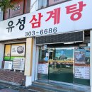 해신축산 | 사상구맛집 모라동삼계탕 유성삼계탕 방문 솔직 후기