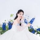 모도리헤어 | 10만원대 숨고 헤어변형 추천 : 모도리표 만족후기