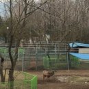 (주)경주산림환경 이미지