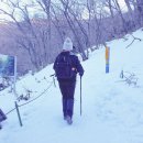 영실기암과 오백나한 | 한라산 탐방예약 영실코스 어리목코스 등반 2월 제주여행