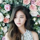 주희꽃