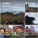 대금산진달래길(등산) | 거제 대금산 진달래꽃 끝물 등산