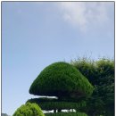 인천용현남초등학교자월분교장 이미지