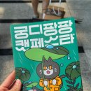 혜진우리옷 | 2025 궁디팡팡 캣페스타 서울 방문 후기 | 쇼핑한 먹을거리·장난감·용품도 공유해요🧡