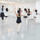 발레&스트레칭 네이버블로그