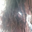 네츄럴플래닛 이미지