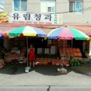 유림청과 이미지