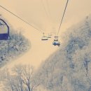 오케이콘도 이미지