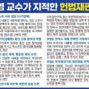 대표적 헌법학자 허영 교수가 지적한 헌법재판소 10가지 위법사례 이미지