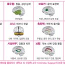 르네상스피아노학원 이미지