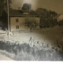 프란치스카농장 이미지