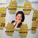 더쉐입
