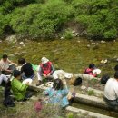 치악산산나물축제 Daum카페