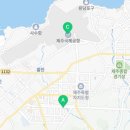 주식회사 나비트래블
