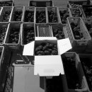 경천식물원 이미지