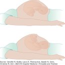 부연공원 | 송파고은빛 유도분만 제왕절개 엔딩 후기 (손지나원장님)