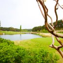 샌드파인 골프클럽 이미지