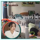 [결혼숙려캠프] 집안일 카드에 담긴 가정행복 이야기 | [필독]좋은 남자, 아니 별로인 남자를 구분하는 안목(feat. 이혼숙려캠프 탁구부부)