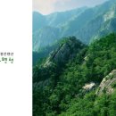 다도펜션 이미지